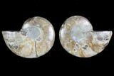 Bargain, Agate Replaced Ammonite Fossil - Madagascar #145820-1